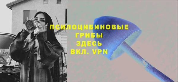 гашик Баксан