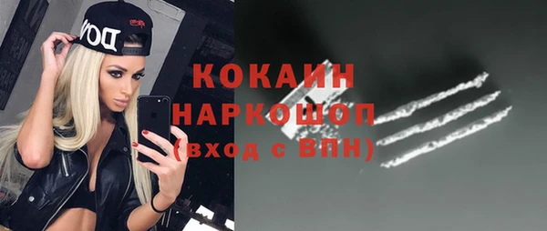 эйфоретик Арсеньев