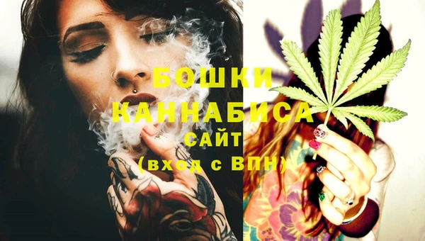 эйфоретик Арсеньев