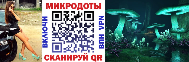 Галлюциногенные грибы прущие грибы Моршанск