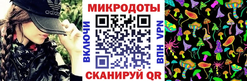 Купить закладки  Моршанск  Галлюциногенные грибы MAGIC MUSHROOMS 